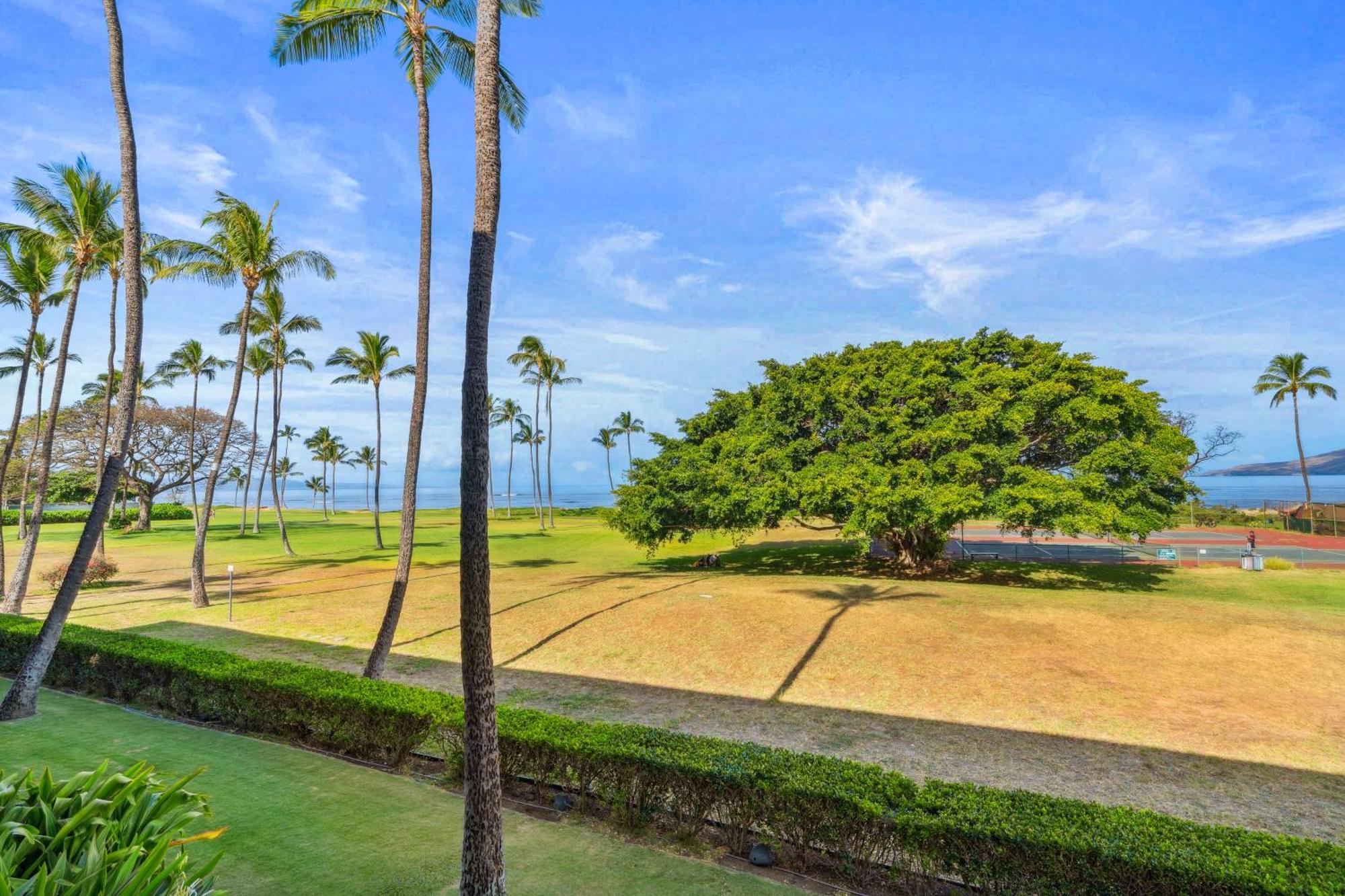 Maui Schooner Resort Kihei Kültér fotó