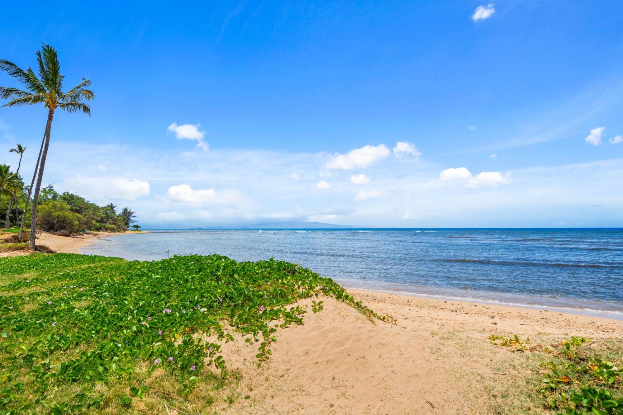 Maui Schooner Resort Kihei Kültér fotó